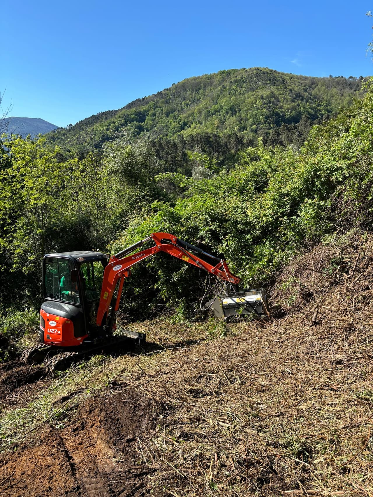 Mulching machine preparing the reforestation site