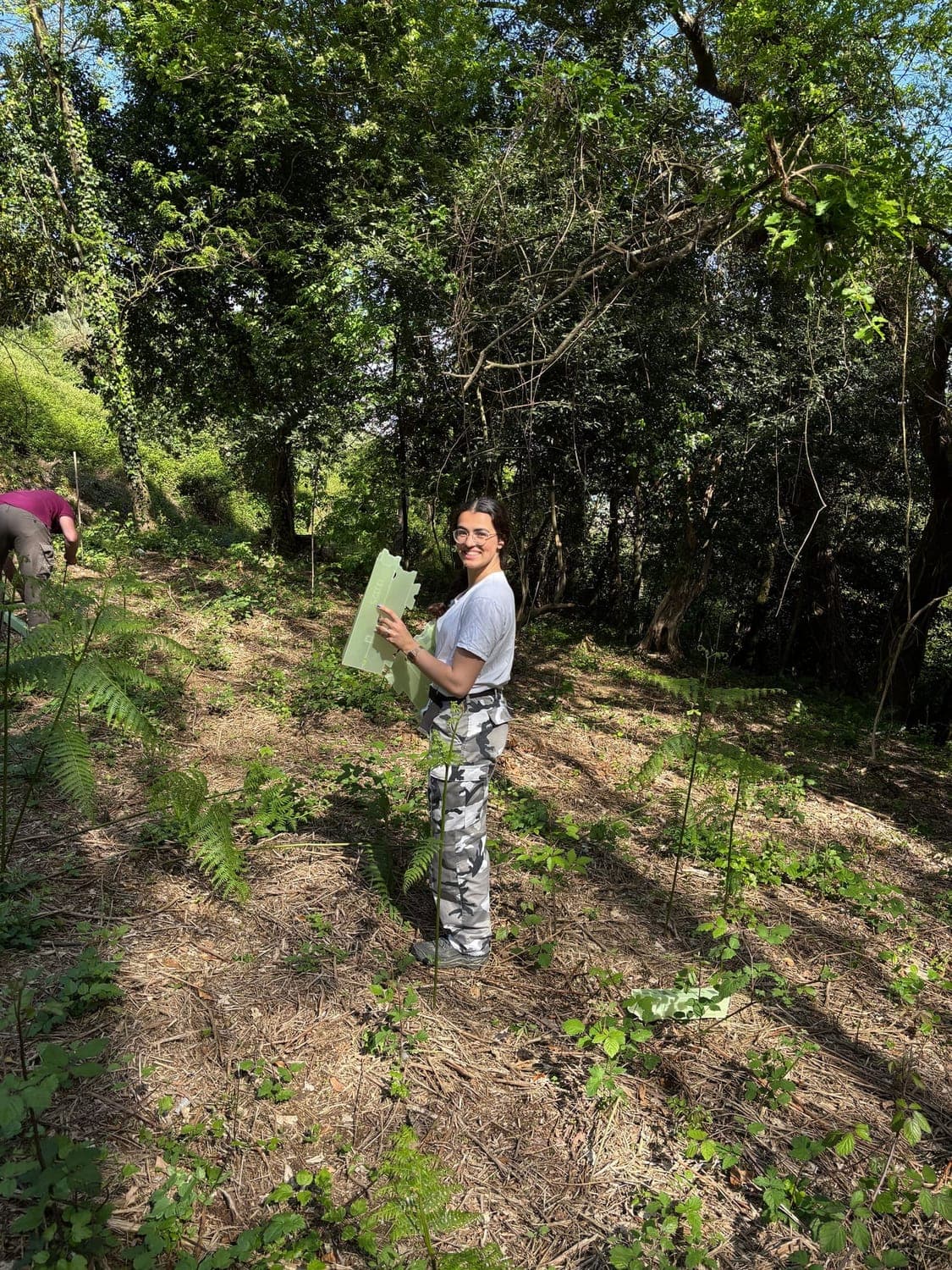 Forest4Future team working across multiple countries