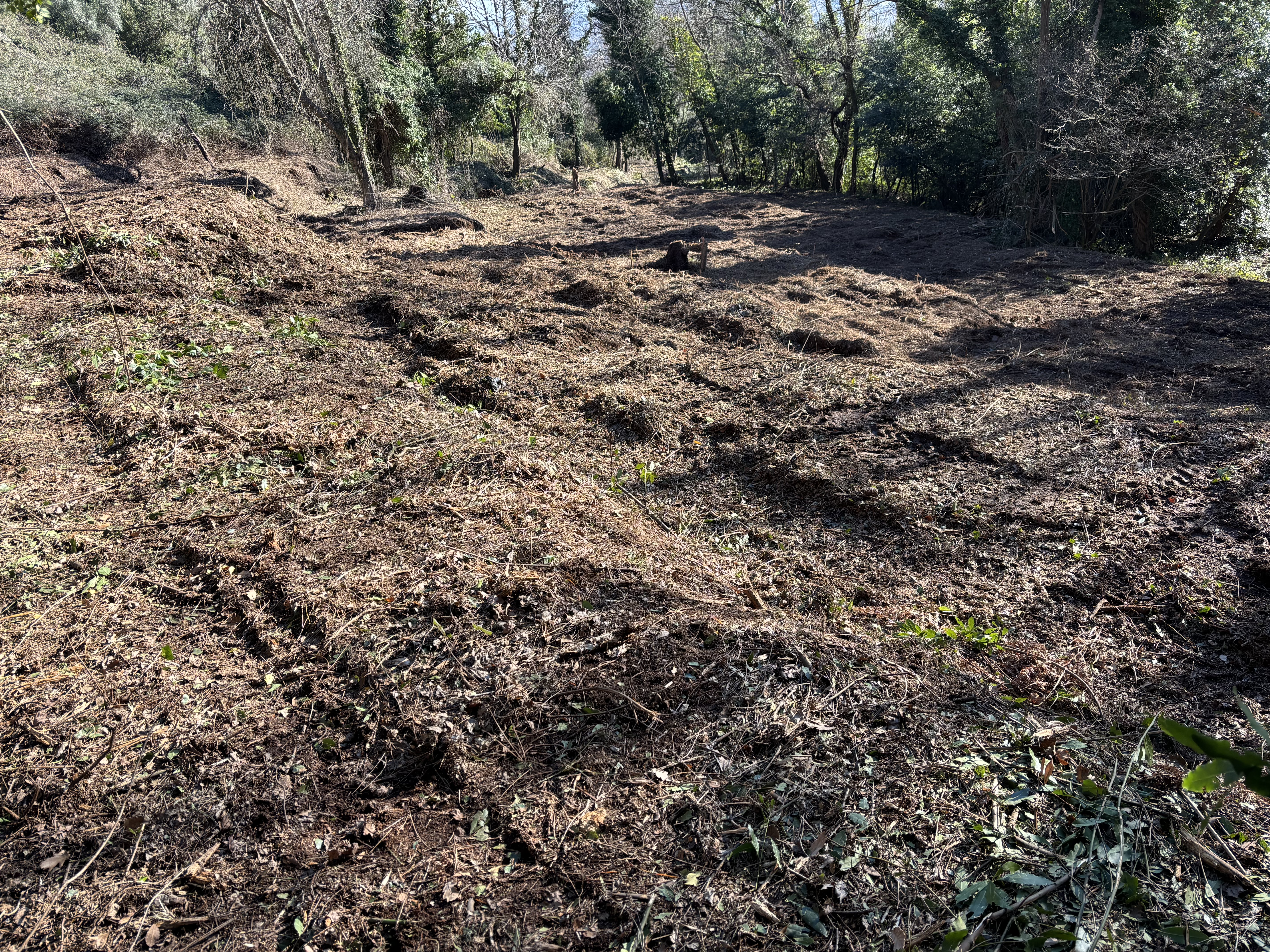 Long-term Stewardship