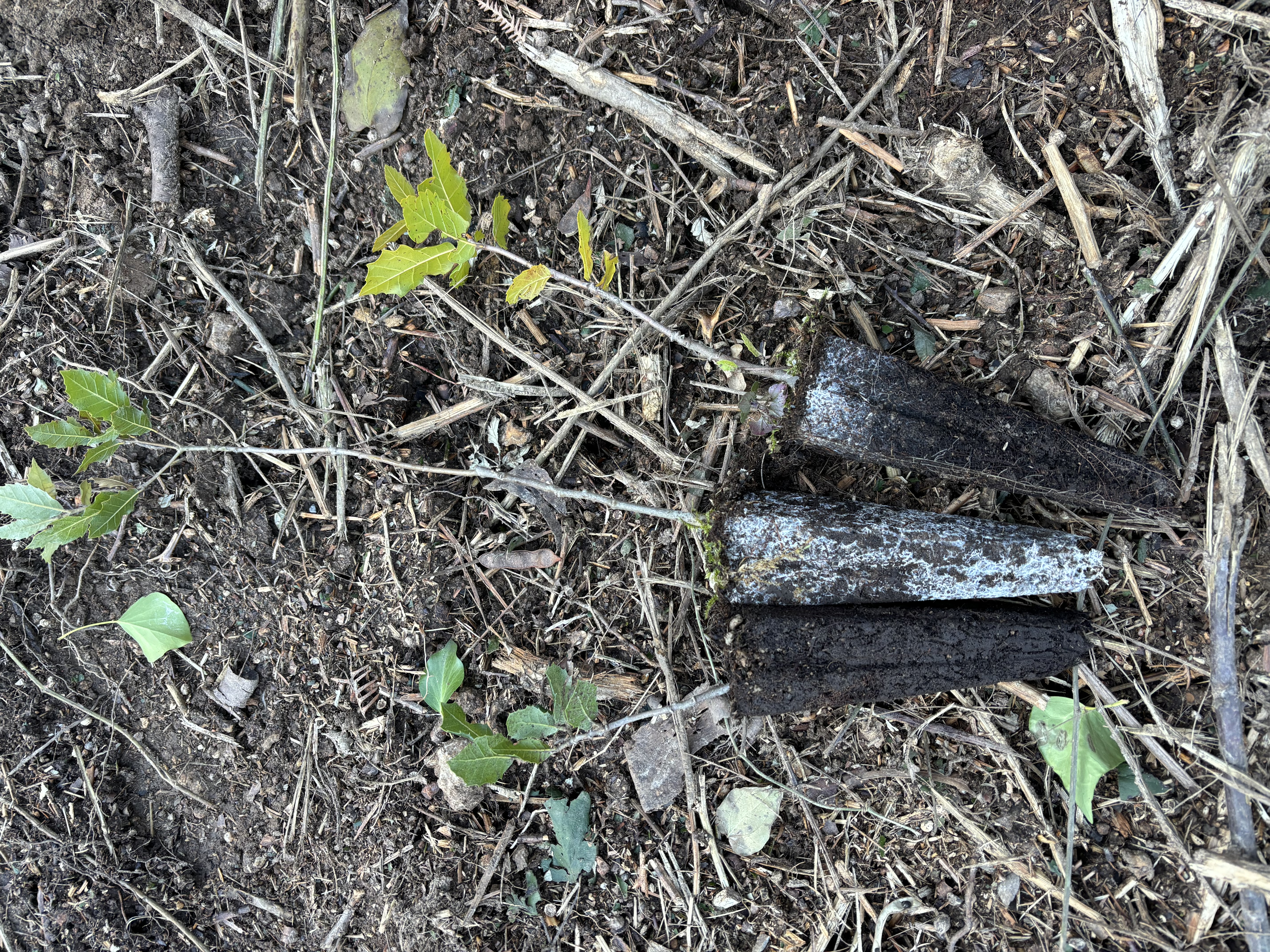 Long-term Stewardship