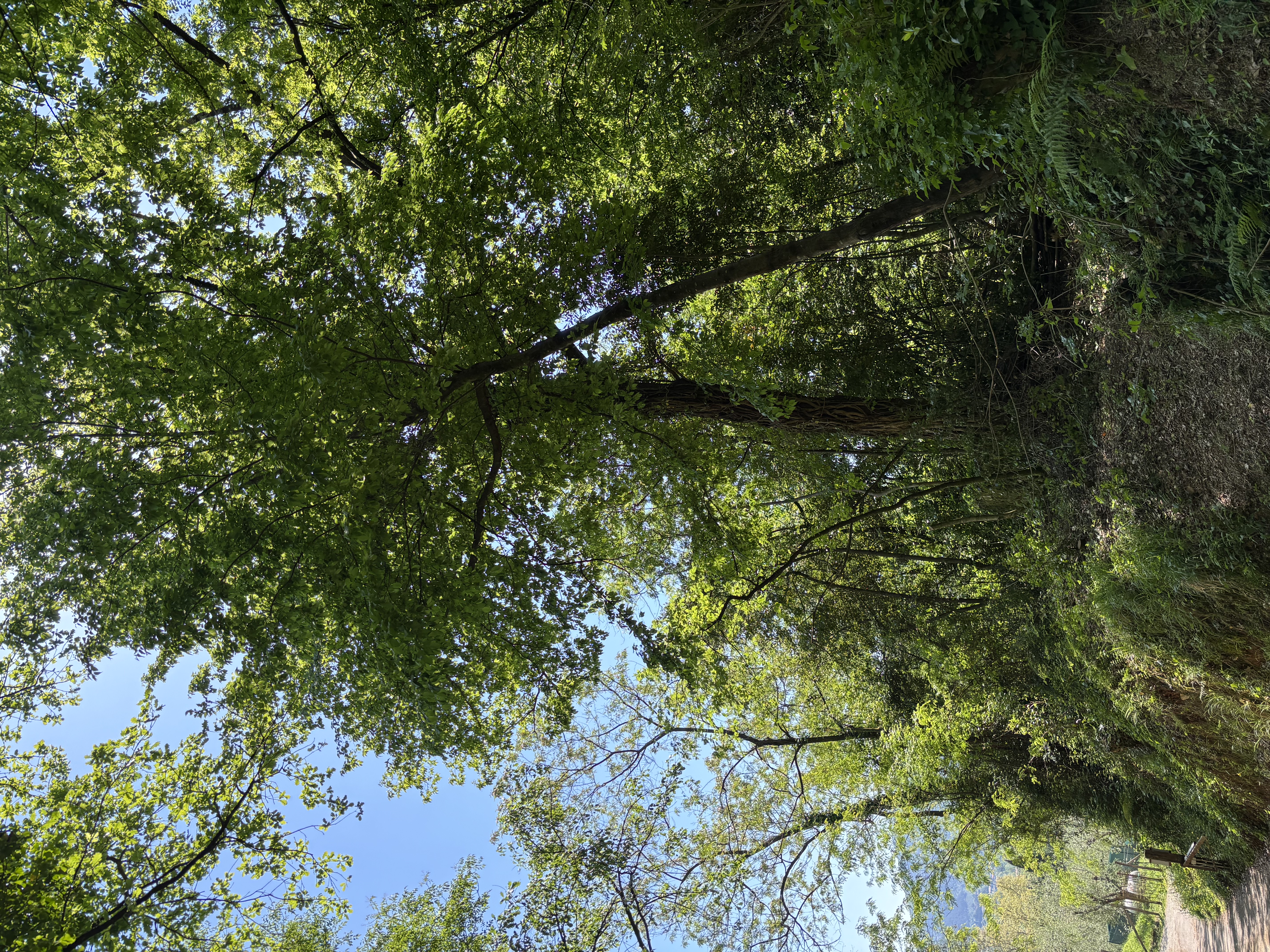 Long-term Stewardship