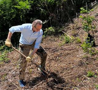 Volunteer planting tree