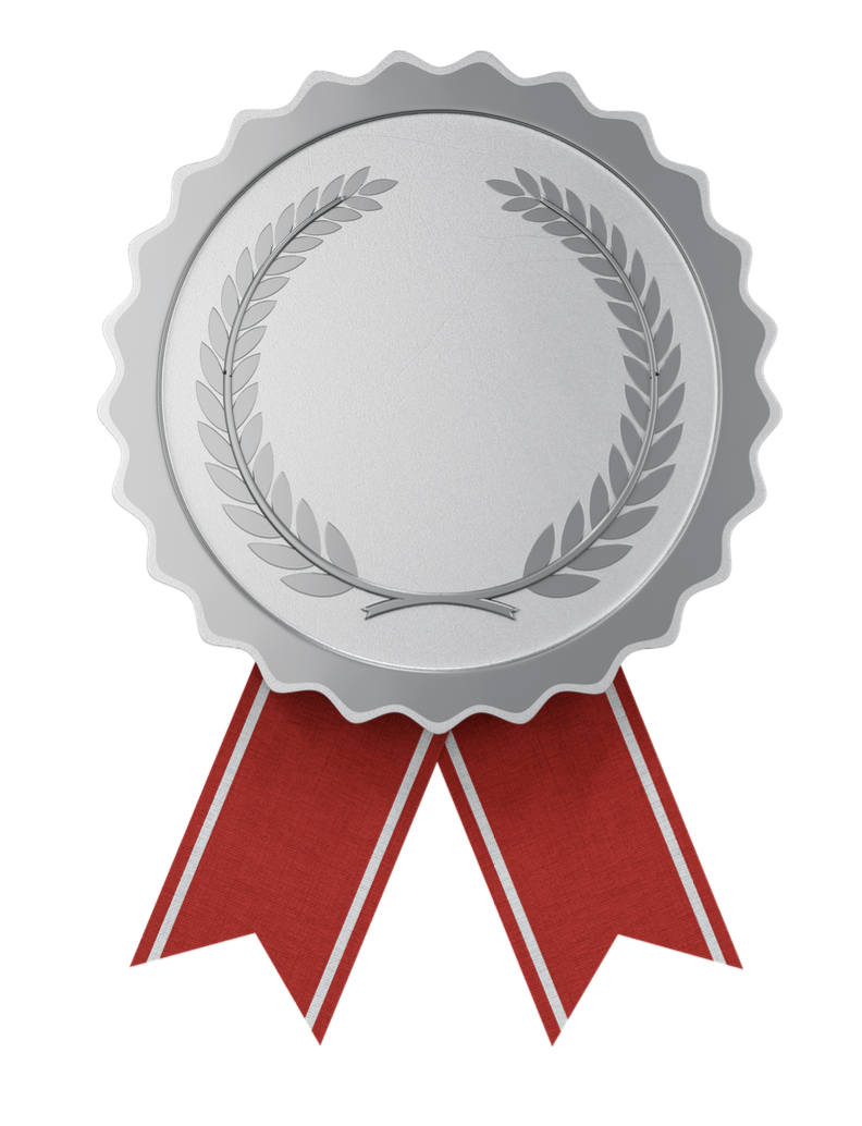 Silver Medal